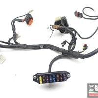 Impianto elettrico destro Ducati 748 98-02 996 98-