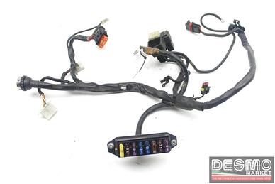 Impianto elettrico destro Ducati 748 98-02 996 98-