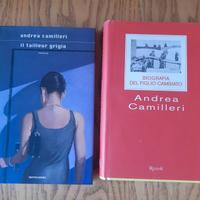 2 libri  sul commissario Montalbano