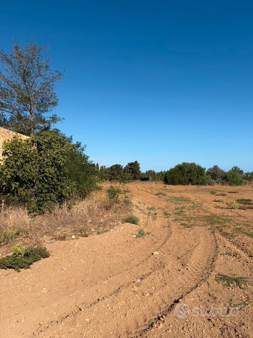Russeglia Podere Agricolo con rudere 3 km dal mare - Altro
