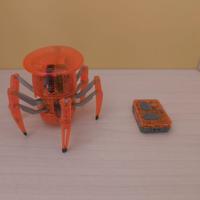 HEX BOTS Remote Control Insect Kids