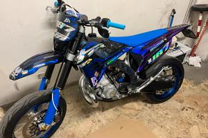 TM 300 SMR