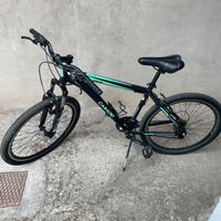 Bici casadei