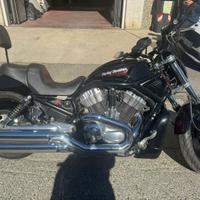 Harley- Davidson V-Rod 2004