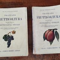 due volumi di un'opera antiquaria 