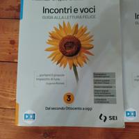 Libro Incontri e Voci Vol.5 