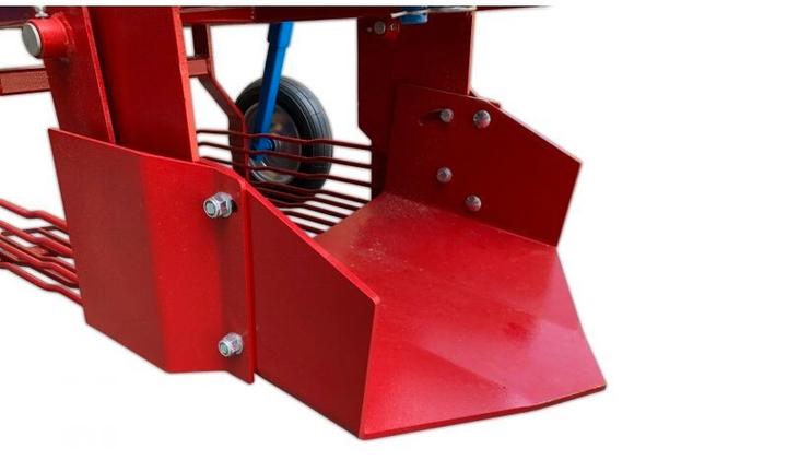 SCAVAPATATE PACHITO ROSSO