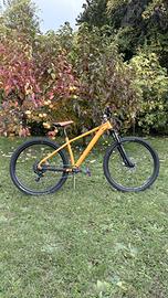 Mtb front Befly sugar 29