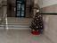 Immagine 4