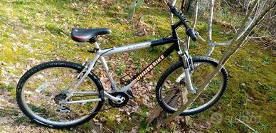Runnerbike 26 "