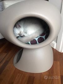 Cuccia di Design Qeeboo "Cat Cave"