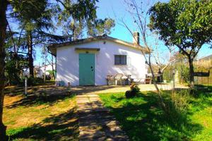 Rif.AA-T10| azienda agricola gavorrano