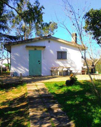 Rif.AA-T10| azienda agricola gavorrano