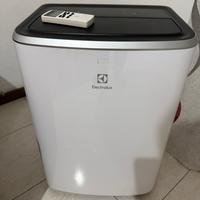 Condizionatore Pinguino Electrolux