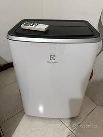 Condizionatore Pinguino Electrolux