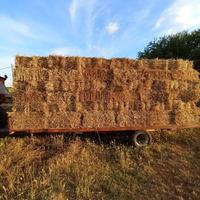 Ballette di feno seminato