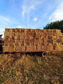 Ballette di feno seminato