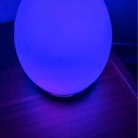 Diffusore in vetro, led integrati forma uovo