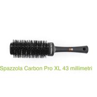 Carbon pro brushes