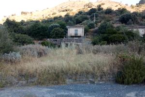 Case rurali + terreno agricolo