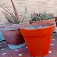 Vasi terracotta