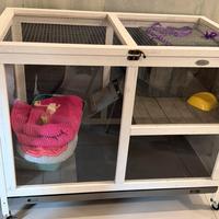 Gabbia per 1/2 conigli