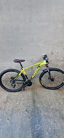 mountainbike brera koban 29 (prezzo trattabile)