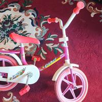bici per le prime pedalate