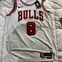 Maglia NBA Lavine 8 Chicago Bulls