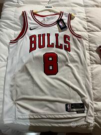 Maglia NBA Lavine 8 Chicago Bulls