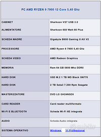 PC AMD RYZEN 9 7900 + MONITOR BENQ 24 pollici
