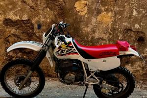 Xr 600 r ASI