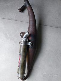 giannelli reverse piaggio