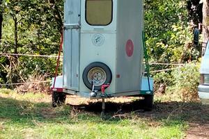 trailer trasporto cavalli