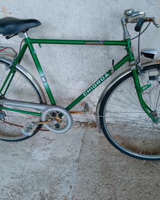 Bicicletta da uomo