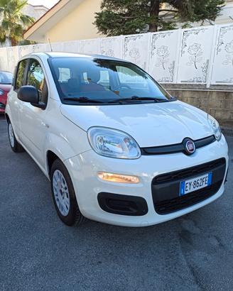Fiat Panda 1.2 69 cv Easy