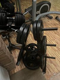 Bilanciere olimpionico e dischi toorx