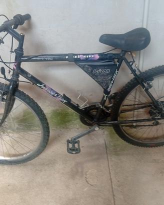 MTB pronte per essere utilizzate