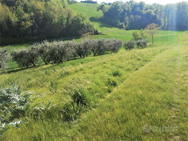 IN CER CA DI UNA TERRENO AGRICOLO? eccolo per te