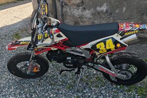 pit bike Motard 
