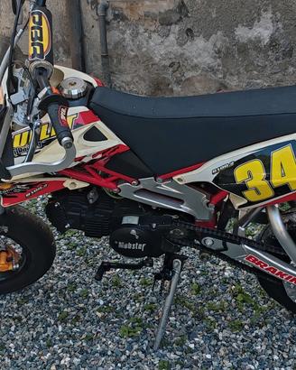 pit bike Motard 