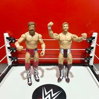 WWE Daniel Bryan wrestling action figure