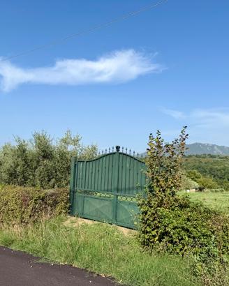 Terreno agricolo di 12000 mq con ulivi produttivi