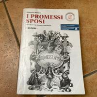 Biennio superiori - italiano - Promessi sposi