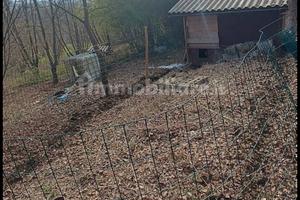 noccioleto terreno 