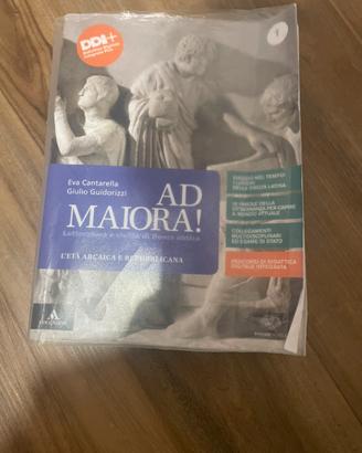 Libri di testo superiori e medie