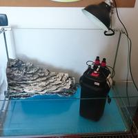 tartarughiera in vetro completa di filtro PRATIKO 