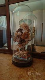 Teca in vetro antica- da restaurare