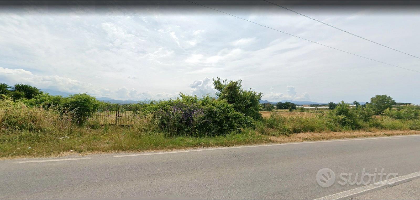 Terreno 3 ettari BIO - fronte strada SP30 EBOLI - Vista 3