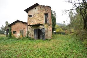 RUSTICO A FELINO